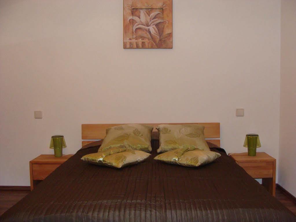 Apartment Vip